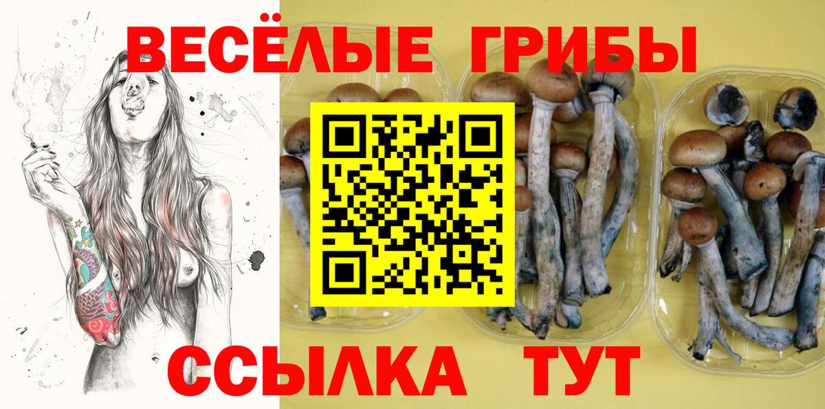 наркошоп  Псилоцибиновые грибы Magic Shrooms  Вход с VPN  Лесосибирск 