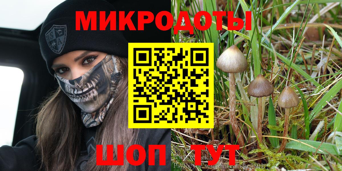 Галлюциногенные грибы MAGIC MUSHROOMS Лесосибирск